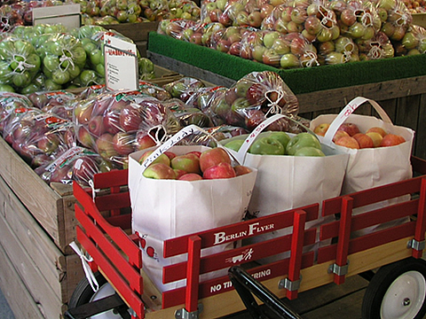 Apples, Peaches, Nectarines, and Pears